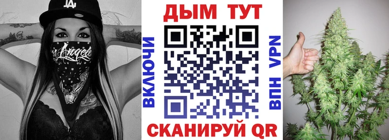 Конопля план  Купить закладки  Шебекино 